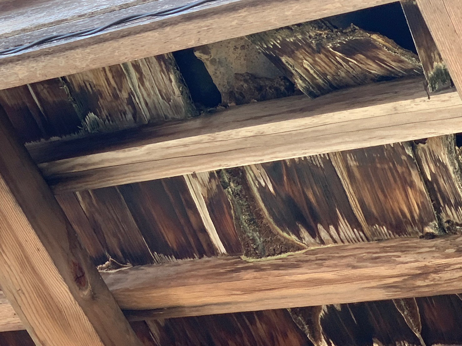 守山区の軒天雨漏りの様子