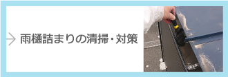 雨樋詰まりの清掃・対策