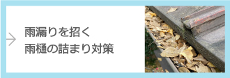 雨漏りを招く雨樋の詰まり対策