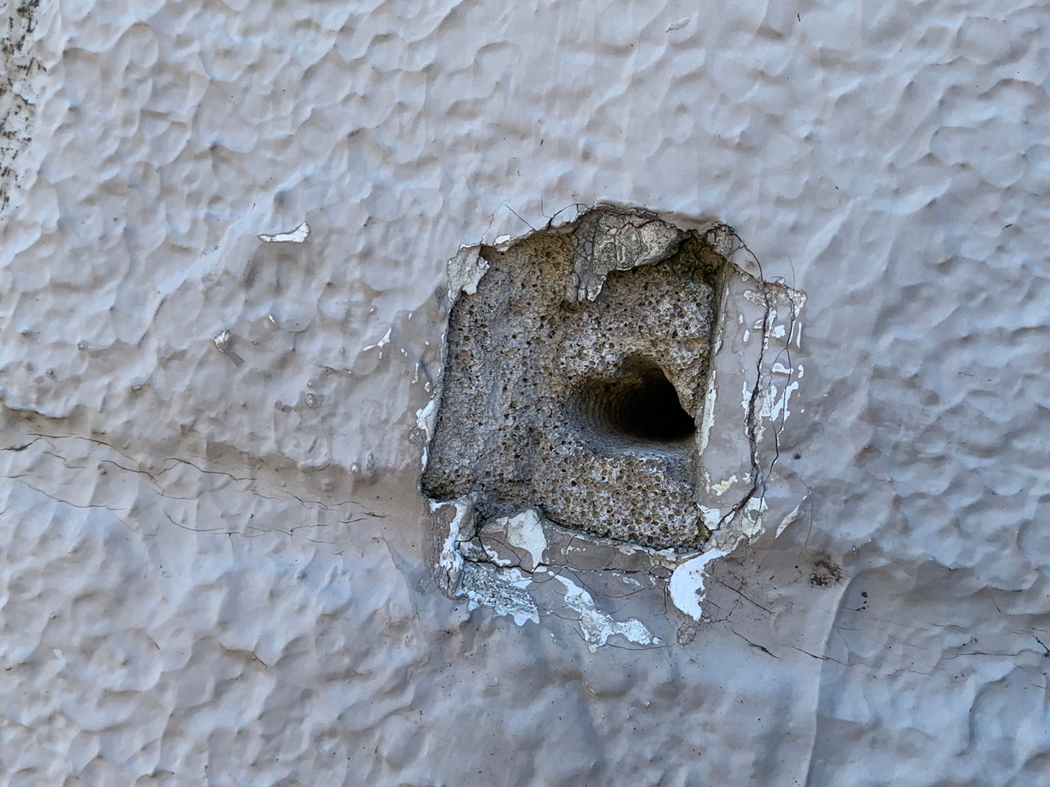 守山区で外壁の穴あき