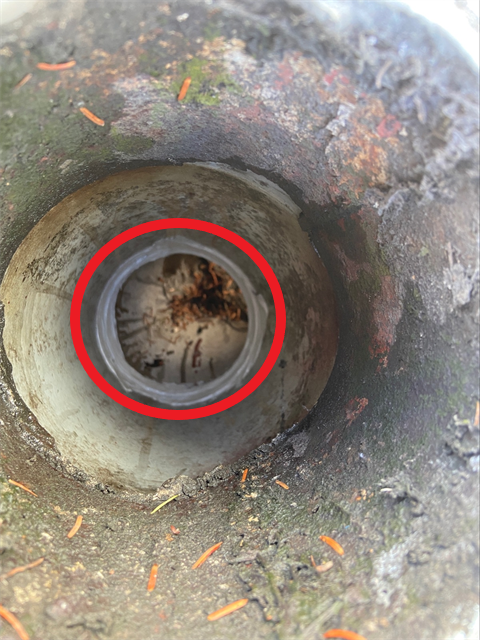 さいたま市大宮区の排水溝コーキング