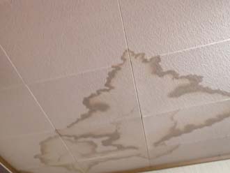 天井の雨染み