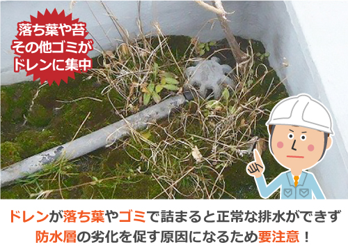 ドレンが落ち葉やゴミで詰まると正常な排水ができず、防水層の劣化を促す原因になるため要注意！