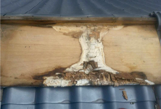 板金を剥がしコンパネ板の腐食した全体の様子を確認