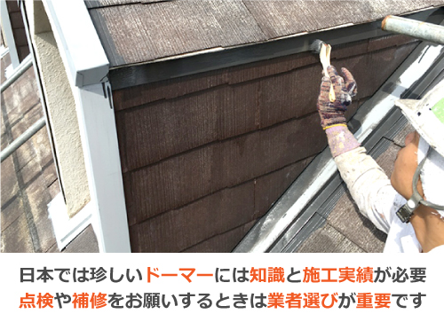 日本では珍しいドーマーには知識と施工実績が必要 点検や補修をお願いするときは業者選びが重要です