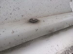 トップライトの交換が可能なのかを調べます