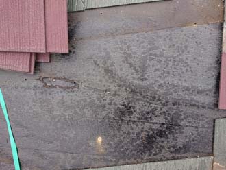 防水紙が破けてしまっている部分を発見！