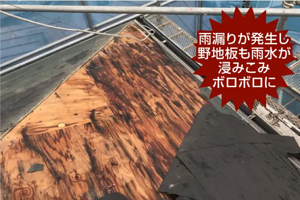 雨漏りが発生し、野地板も雨水が浸みこみボロボロに