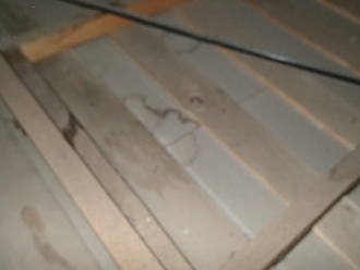 三鷹市北野にて築40年以上のお住いで雨漏り調査、屋根のメンテナンスは定期的に！