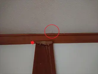 雨漏りによるシミや剥がれ