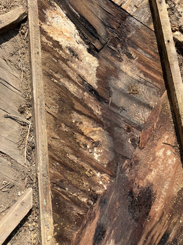 伊豆の国市雨漏り木材腐食