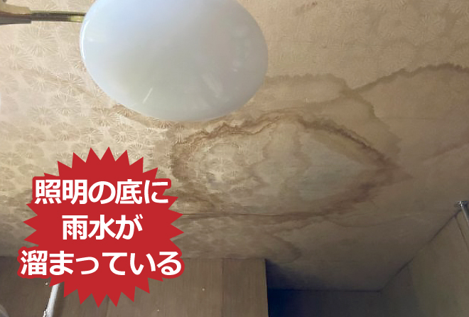 照明の底に雨水が溜まっている