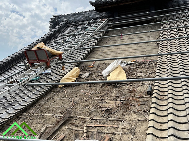 掃除しながら取ります