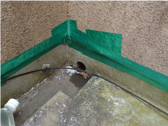 養生されている