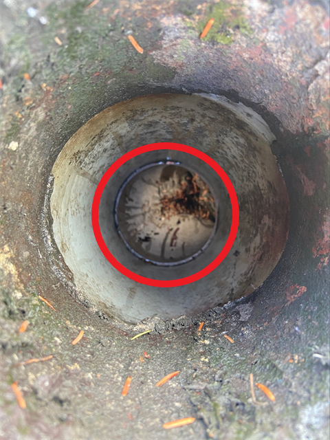 さいたま市大宮区の排水穴