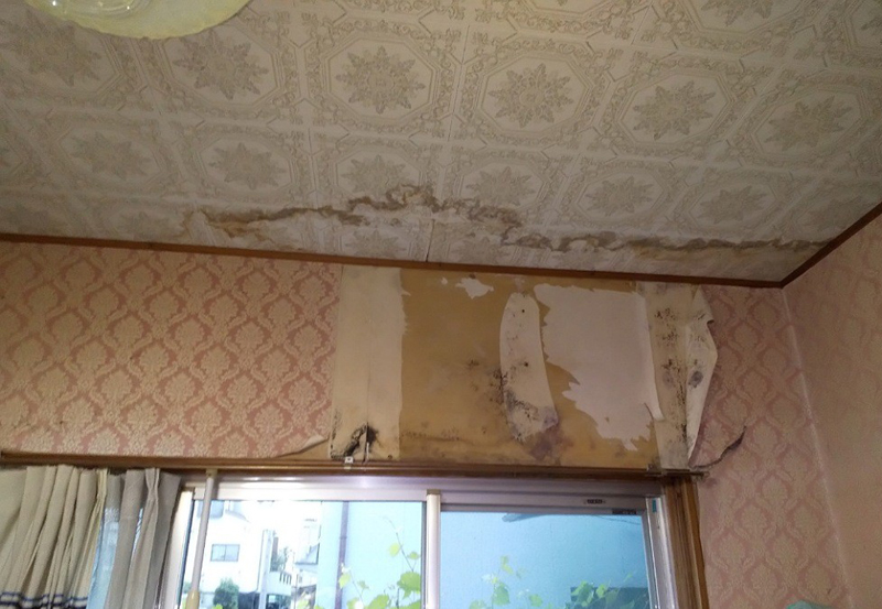 ベランダ下の部屋の天井からあまもりし、クロスが大きく剥がれています