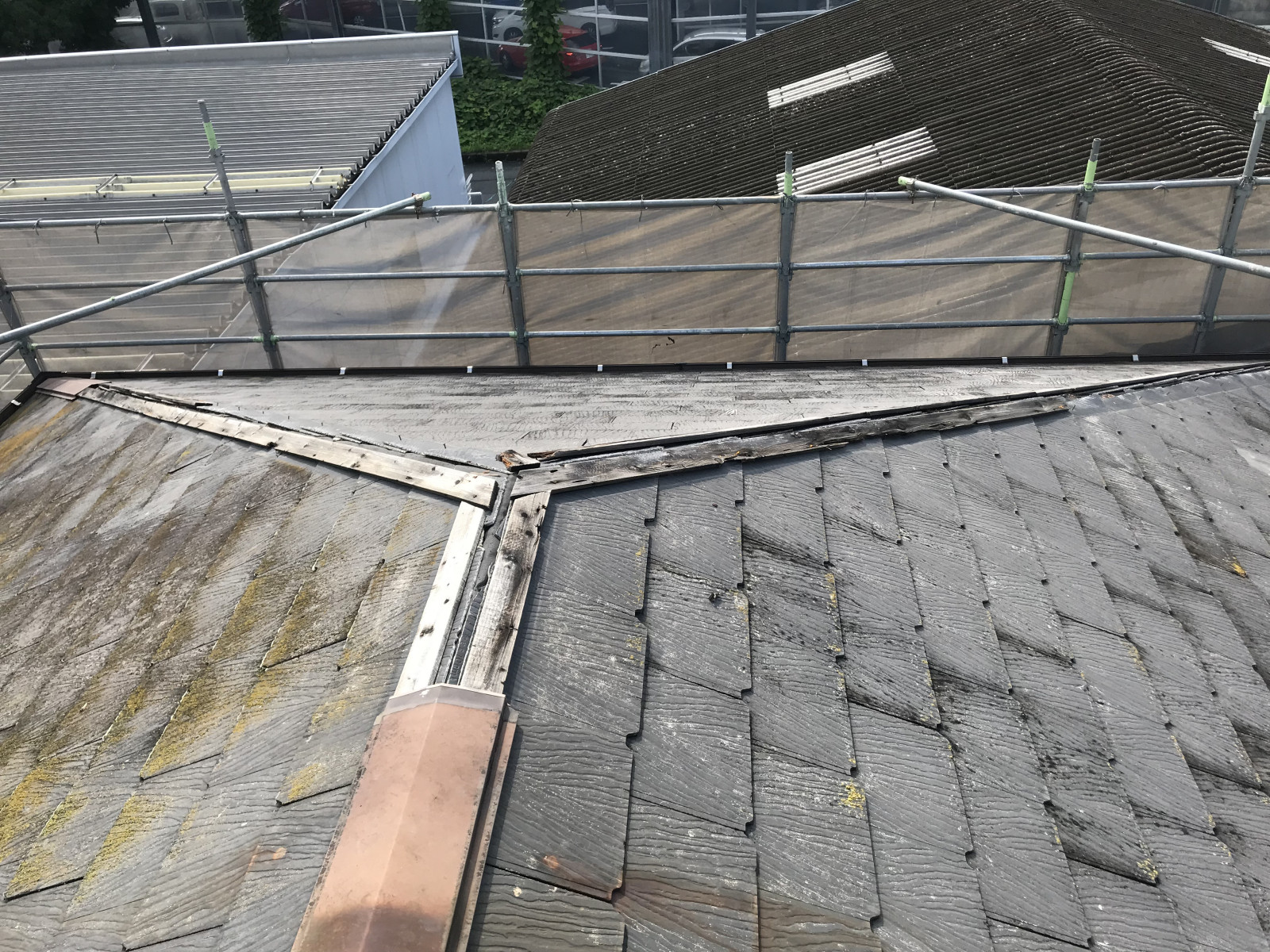 守山区でカラーベスト屋根の棟板金が木ごとはずれてしまっている様子