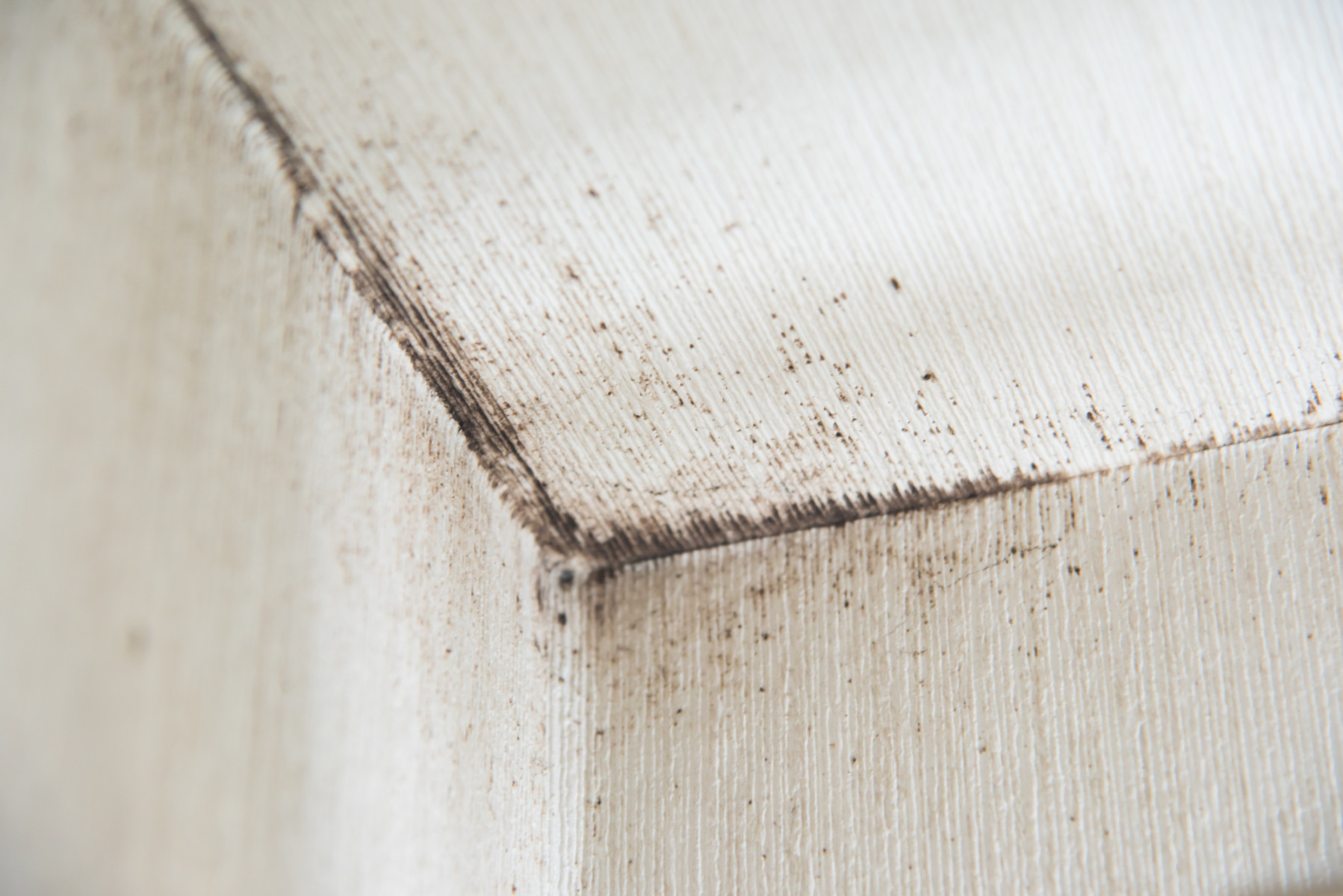 天井のクロスの隅にできたカビ