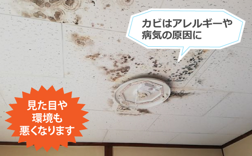 雨漏りによるカビはアレルギーの原因にもなりえます