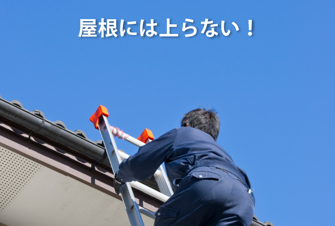 屋根には上がらない