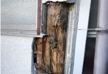 木材の腐食