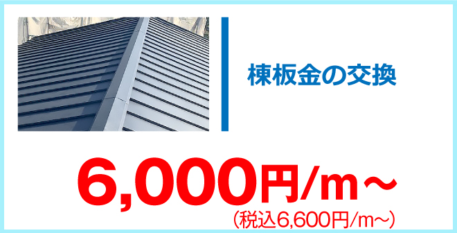 棟板金交換6,600円/m~
