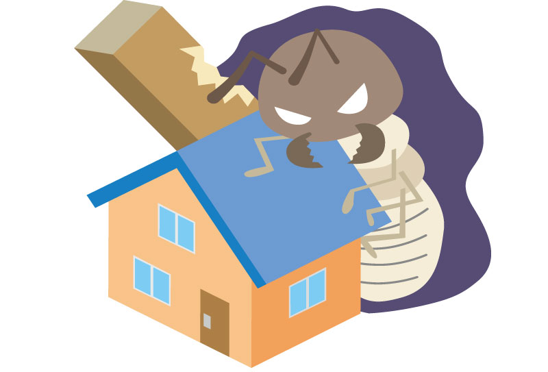 雨漏り放置でシロアリ被害