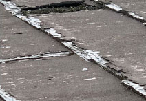 ニチハパミール