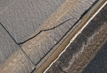 松下電工レサス、シルバス