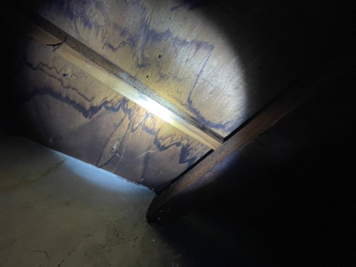 小屋裏にあった雨漏りの痕跡