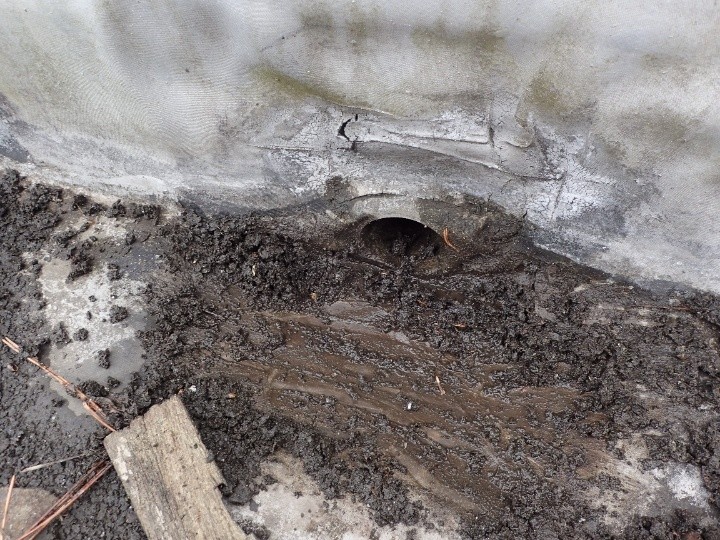 ドレン周辺にゴミや汚れが詰まり排水が滞っている状態