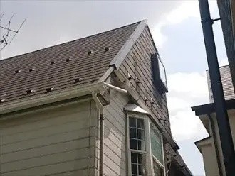 雨樋と棟板金の交換工事後