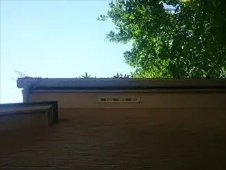 下から見た雨樋の状態