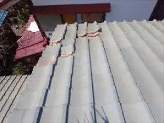 強風で瓦同士がぶつかり衝撃で割れてしまっている状態