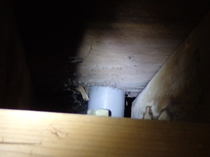 排水ドレン周辺の染み