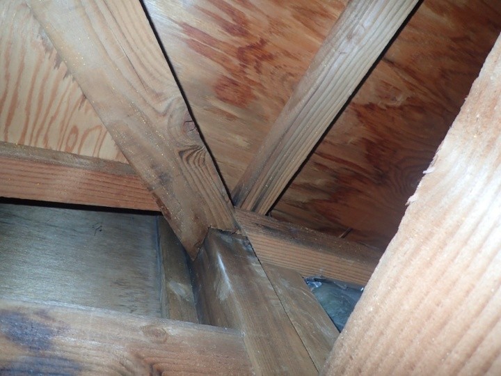 点検口の雨漏り状況