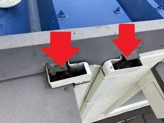 雨樋にゴミが堆積し排水が行われていない状況