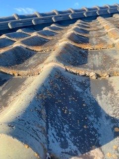 和型セメント瓦　苔