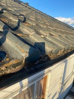 和型セメント瓦　苔