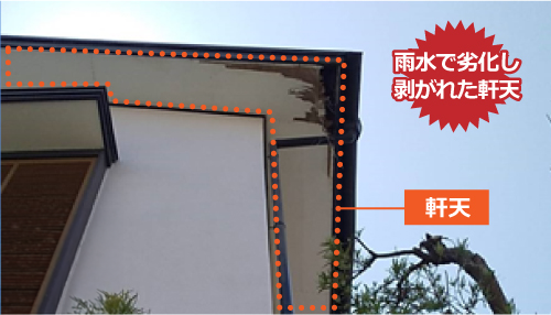 剥がれた軒天