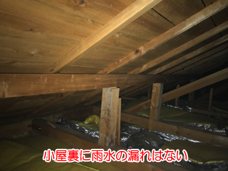 小屋裏の状況確認