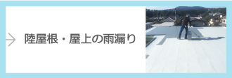 陸屋根・屋上の雨漏り