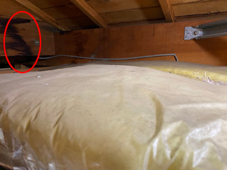 小屋裏に雨漏りの跡がある