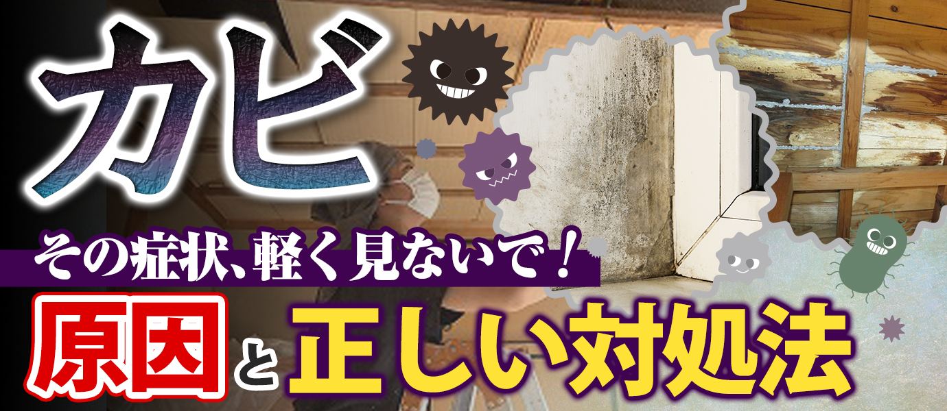 その症状、軽く見ないで！カビの原因と正しい対処法