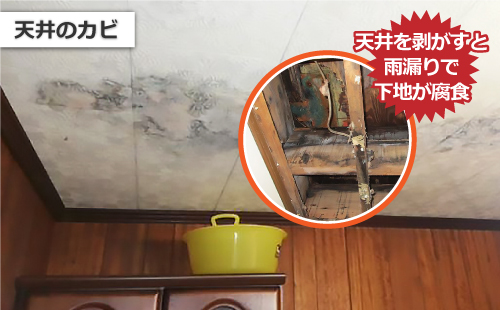 カビが広がった天井部分を剥がしたところ、雨漏りで下地が腐食していました