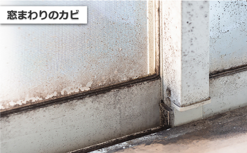 白いサッシと周りの木材に広がる窓まわりのカビ