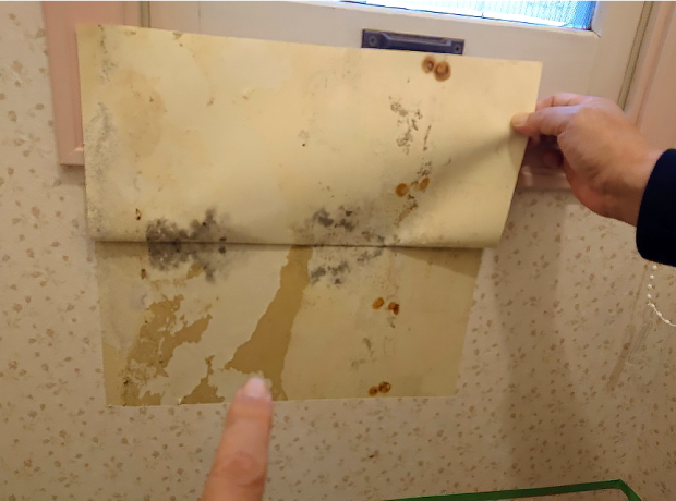 トイレの窓の下のクロスをめくるとカビが広がっていました