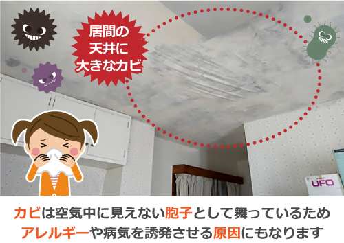 カビは空気中に見えない胞子として舞っているため、アレルギーや病気を誘発させる原因にもなります