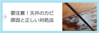 要注意！天井のカビ、原因と正しい対処法