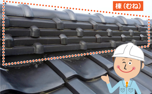 屋根の山の稜線になっている部分が棟